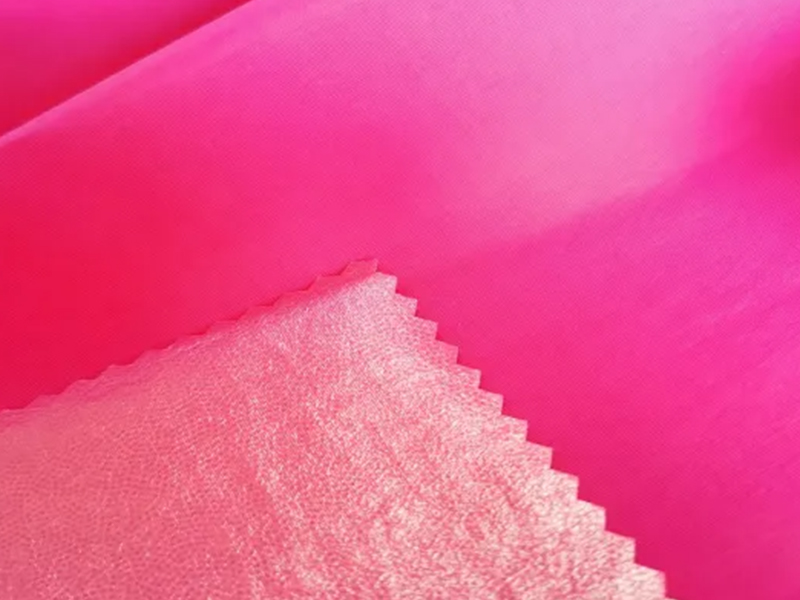 Waterproof 228t Nylon Taslan Fabric with TPU Bonded for Jackets